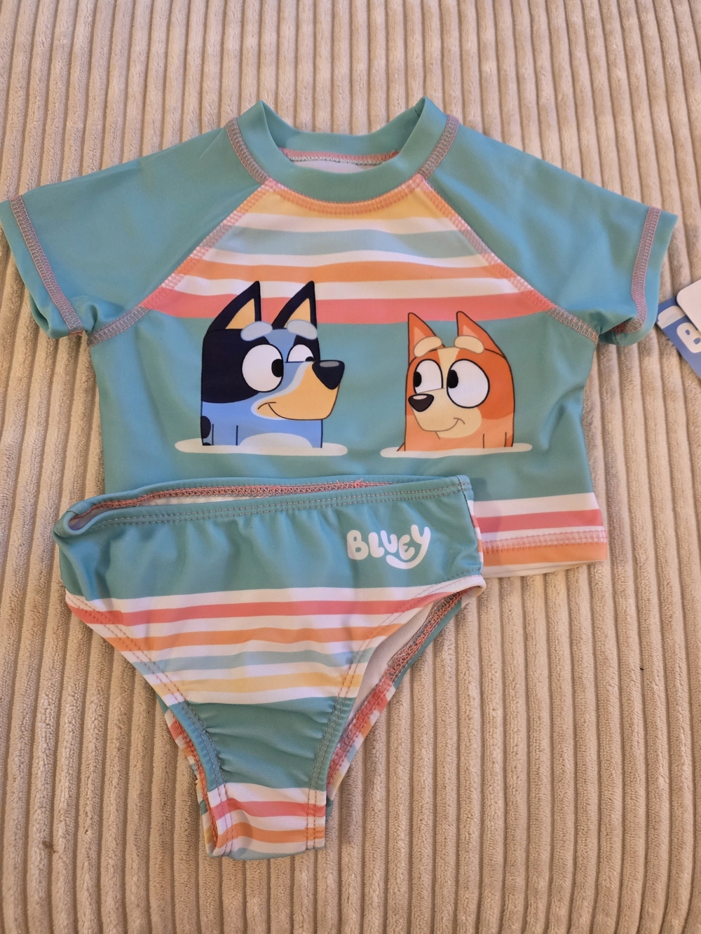 Bluey Girls' Teal Stripe Rash Guard Bikini Set - Bluey